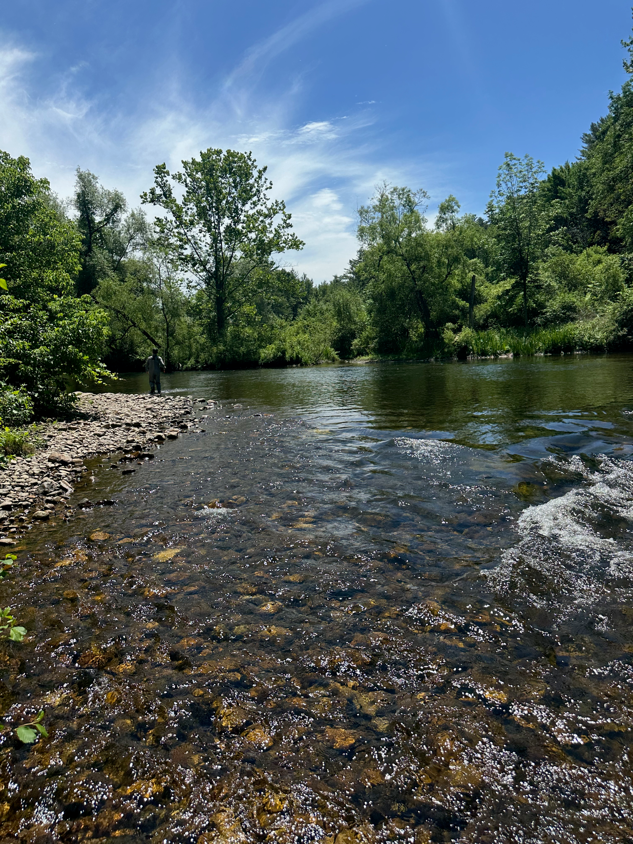 Fishing the Battenkill: Beauty, Patience, and the One That Got Away